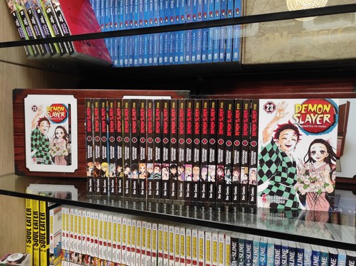 Demon slayer serie completa - demon,