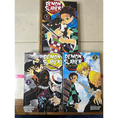 Demon slayer kimetsu yaiba - demon, no