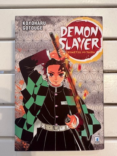 Demon slayer manga - slayer,