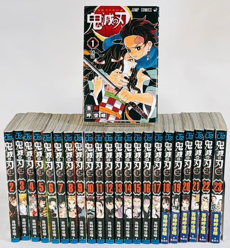 Demon slayer kimetsu yaiba - slayer,