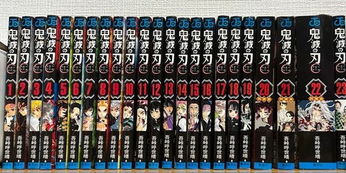 Demon slayer kimetsu yaiba - slayer,