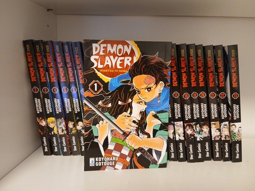 Demon slayer serie - demon,