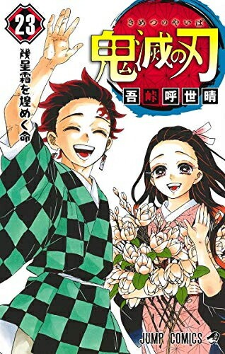 Demon slayer kimetsu yaiba - demon,