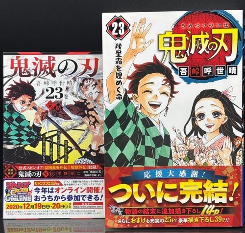 Demon slayer vol prima - demon,